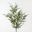 Brake Fern Hanging Bush (Set of 6)