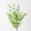 Brake Fern Hanging Bush (Set of 6)