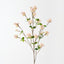 Hazel Spray (Set of 12)