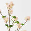 Hazel Spray (Set of 12)