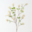Hazel Spray (Set of 12 )