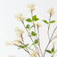 Hazel Spray (Set of 12 )