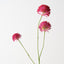 Allium Spray (Set of 12)