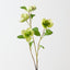 Hellebore Spray (Set of 12)