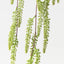 Sweetspire Spray (Set of 12)