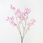 Fringe Tree Spray (Set of 12 )