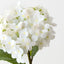 Hydrangea (Set of 12)