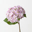 Hydrangea (Set of 12)