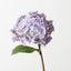 Hydrangea (Set of 12)