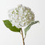 Hydrangea (Set of 12)