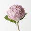 Hydrangea (Set of 12)