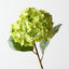 Hydrangea (Set of 12)