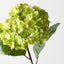 Hydrangea (Set of 12)
