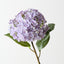 Hydrangea (Set of 12)