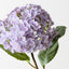 Hydrangea (Set of 12)
