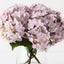 Hydrangea in Vase