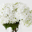 Hydrangea in Vase