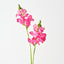 Snapdragon Spray (Set of 12)