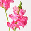 Snapdragon Spray (Set of 12)