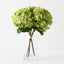 Hydrangea in Vase