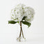 Hydrangea in Vase