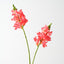 Snapdragon Spray (Set of 12)
