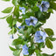 Petunia Hanging Bush (Set of 6)