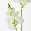 Snapdragon Spray (Set of 12)