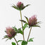 Sea Holly Spray (Set of 12)