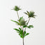 Sea Holly Spray (Set of 12)