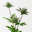 Sea Holly Spray (Set of 12)
