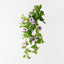 Petunia Hanging Bush (Set of 6)