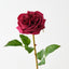 Florence Rose (Set of 12)
