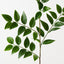 Nagi Leaf Spray (Set of 12)