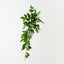 Nagi Hanging Bush (Set of 6)