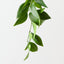 Nagi Hanging Bush (Set of 6)