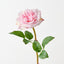 Florence Rose (Set of 12)