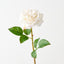 Florence Rose (Set of 12)