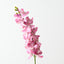Mokara Orchid Spray (Set of 6)