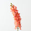 Mokara Orchid Spray (Set of 6)