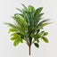 Aglaonema Palm Mix Bush (Set of 6)