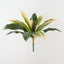 Cordyline Bush (Set of 12)