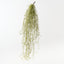 Spanish Moss Hanging Bush (Set of 6)