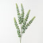 Knife Leaf Spray (Set of 12)