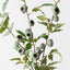 Gumnut Spray (Set of 12)