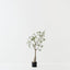 Bottle Tree