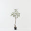 Bottle Tree