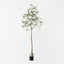 Bottle Tree