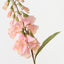 Foxglove (Set of 12)