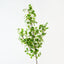 Gingko Leaf Spray (Set of 6 )